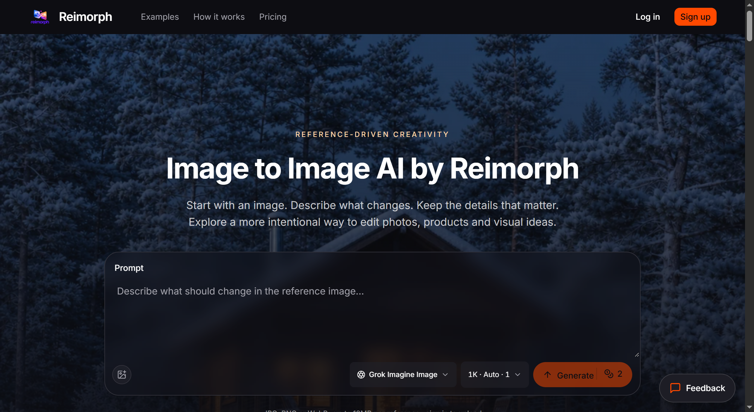 Reimorph